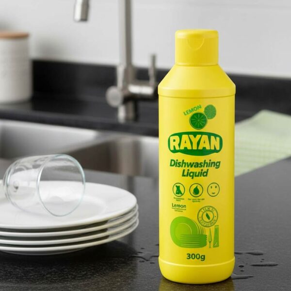 Liquid Dishwashing Detergent (300g)
